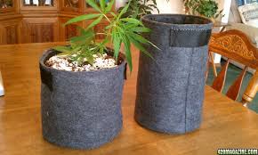 Check spelling or type a new query. Diy Fabric Grow Pots Quot Cannabags Quot Made From Eco Felt Diy Fabric Planter Diy Grow Bags Diy Fabric