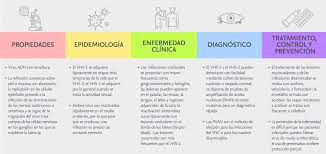 Síntomas de las enfermedades infecciosas. Enfermedades Infecciosas By Patricia Blanco On Genially