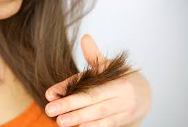 Let's face it, split ends happen. Split Ends Types Causes And Treatments Emedihealth
