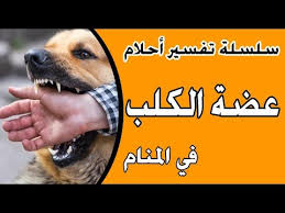 تفسير حلم عضة الكلب في المنام مجلة رجيم