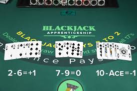 how to count cards in blackjack and bring down the house