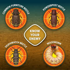 SoluGuard Woodworm Treatment (BPR) (500ml) - Timber Treatments