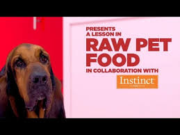 a lesson in raw pet food petco
