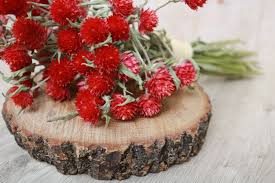 Maybe you would like to learn more about one of these? Do Dried Flowers Smell Quora