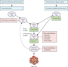 Review foods high in vitamin k (see food sources for specific nutrients). Direct Oral Anticoagulants Evidence And Unresolved Issues The Lancet