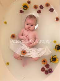 Choose milk bath bowl for baby photography. Anameleth Photography Fall Flowers Milk Bath Baby Photo Baby Bath Milk Bath Maternity Baby Milk Bath