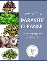 12 foods to look better naked | eat this not that. How To Do A Parasite Cleanse With Options For Children Dr Laura S Kitchen