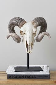 Maybe you would like to learn more about one of these? Next Ram Skull Sculpture Natural Ram Skull Skull Art Animal Skulls