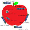 Love this free printable prepositions sheet for kids in 34d, 4th, 5th, and 6th. 1