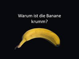 Viele kinder fragen sich, warum die banane so eine komische form hat. Simon Reitze Thought Video Presentation Warum Ist Die Banane Krumm