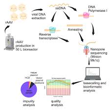 Image result for Dark Hunter Green 1998 AAV