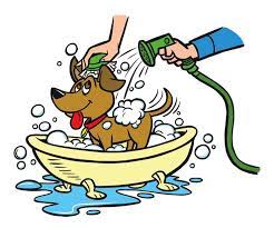 Images Of Pet Washes Have Fun Choosing The Best Location For Your Dog Bath Pets Dog Cleaning Dog Bath