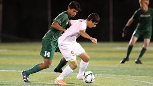 South Salem falls to Jesuit in second round of playoffs