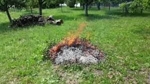 The collections will take place every two weeks. Don T Burn Your Excess Waste