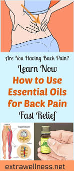 Pin On Essential Oils Blends