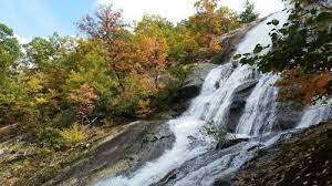 George washington national forest map, dry river ranger district shows trails, recreation sites, and points of interest. George Washington And Jefferson National Forests Virginia Beste Route Zum Camping Alltrails