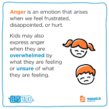 Image result for Angry Behavior