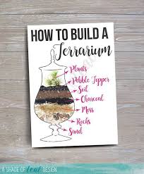 Terrarium Party Plus How To Make A Terrarium Build A Terrarium How To Make Terrariums Terraria Party