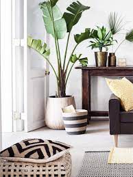 6 Ways To Give Houseplants A Chance Thou Swell Interior Decor House Interior