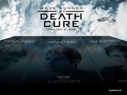The death cure builds on story threads established in both the maze runner and the scorch trials, but also introduces new key concepts that become integral to the concluding chapter. Maze Runner The Death Cure
