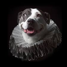 We did not find results for: How Much Does Pet Photography Cost Quick Guide To Pet Portrait Fees
