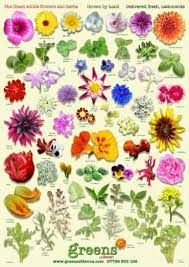 Eat flowers you have grown yourself, or know to be safe for consumption. 42 Flowers You Can Eat With Taste Descriptions Edible Flowers Recipes Edible Flower Garden Edible Flowers