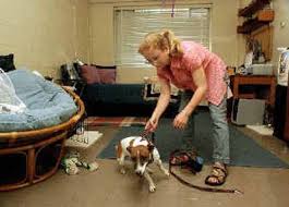 › pets inc west columbia. Some Colleges Allow Pets In Dorms The Spokesman Review