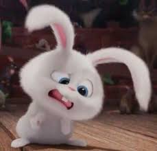 Pin Oleh Cindy Di Snowball Kartun Hewan Lucu Hewan