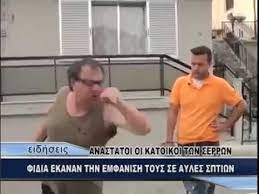 Η ανακοίνωση της γενικής γραμματείας πολιτικής προστασίας: Fidi Kalo Mono Nekro O Apolytos E3olo8reyths Fidiwn Einai Apo Tis Serres Kai Den Asteieyetai Youtube
