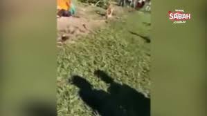 Cocuga Tecavuz Edip Oldurmekle Sucladiklari Adami Diri Diri Yaktilar Videosunu Izle Son Dakika Haberleri