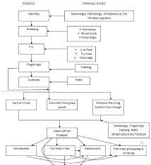 catfish concept to consumption flow chart download