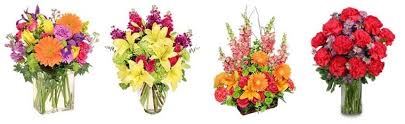 Hours may change under current circumstances 9 Best Flower Delivery In Fayetteville Arkansas 2021