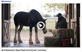 Budweiser S Lost Dog Super Bowl Commercial S A Tearjerker
