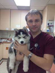 Maybe you would like to learn more about one of these? Corona Community Veterinary Hospital Corona Ca Come Meet Dr Ivan Schedule An Appointment Today