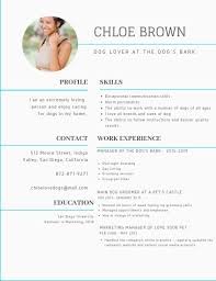 Using a basic shape to emphasize your resume is always a safe bet for making a visually appealing design. How To Create A Professional Resume For Free In Canva