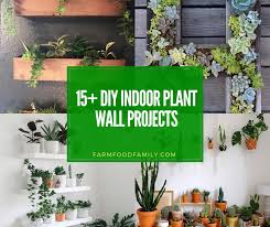 Below are 15+ creative diy indoor plant wall projects. 15 Best Diy Indoor Plant Wall Projects Ideas For 2020