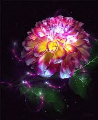 Flowers gif water flowers my flower beautiful flowers beautiful gif lily rose plants pictures. Flower Gifs Images