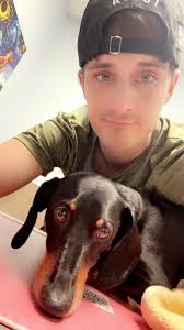 Is leg twitching and urination a good sign in a dog recovering from stage 5  IVDD surgery?