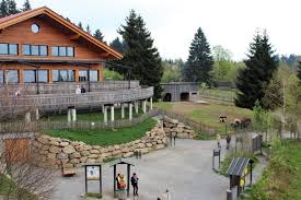 Dach steht, ist einfach alles völlig verdreht. Wald Wipfel Weg Sankt Englmar Bayerischer Wald Kinderorte Franken