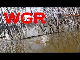 Video viral gunung rowo pati / viral video museum gunung rowo : Spot Mancing Rowo Jombor Hobi Mancing