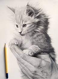Pin On Cat Art