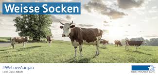 Die neue aargauer bank (nab) mit ihren rund 200'000 kundinnen und kunden, die grösste kundinnen und kunden wechseln geld am schalter. Renzen Communications Weloveaargau Werbung