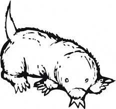 Download and print these mole coloring pages for free. Mole Coloring Page Animals Town Free Mole Color Sheet