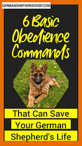6 Basic Obedience Commands That Can Save Your German Shepherd S Life German Shepherd Training Dog Training Obedience German Shepherd