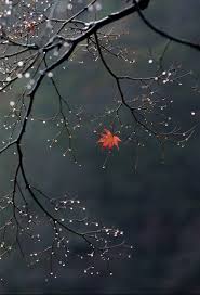 Il Faut Cultiver Notre Jardin Nature Pictures Nature Photography Beautiful Nature