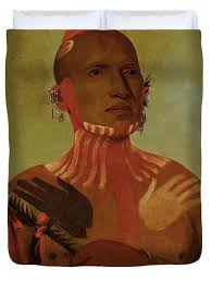 Famous Native American Duvet Covers for Sale