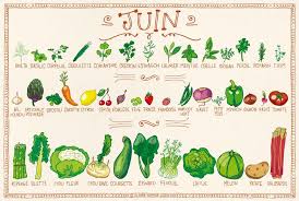Generations Cobayes On Twitter Game Fruit Food Illustrations Persil