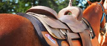 Find out how much a saddle will cost you. Saddle Pads What Manufacturers Don T Tell You 5 Star Equine Manufacturer Of The World S Finest All Natural Saddle Pads And Mohair Cinches