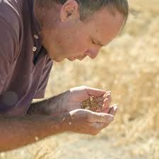 A smart green future. Together. · Plant & Food Research