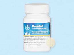 Check out our list of the best cat dewormers on the market today to find out which one is right for your cat. Best Cat Dewormers In 2021